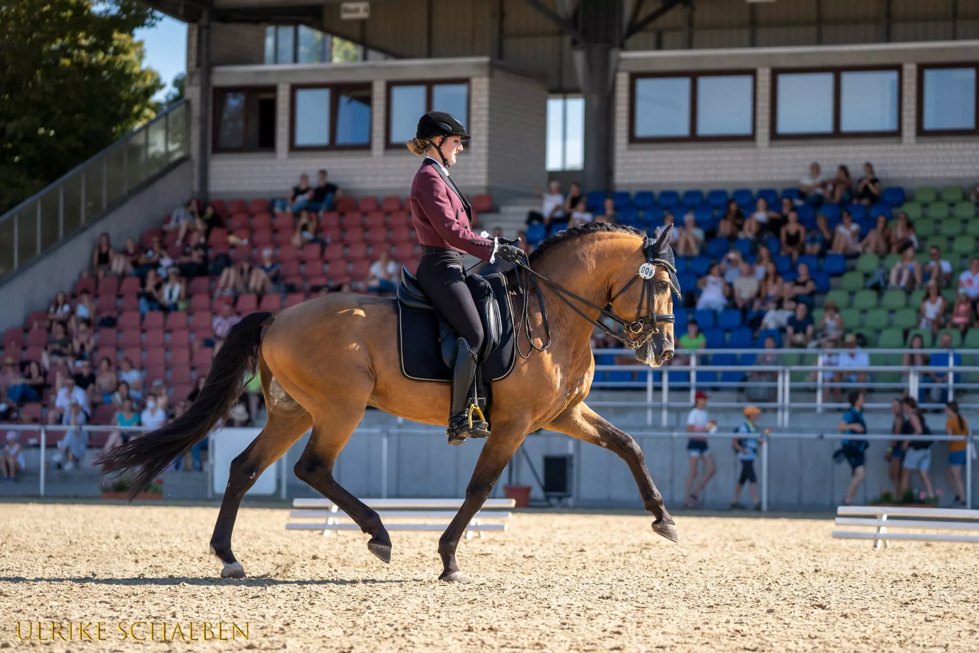 startseite-bg-sektion-partner